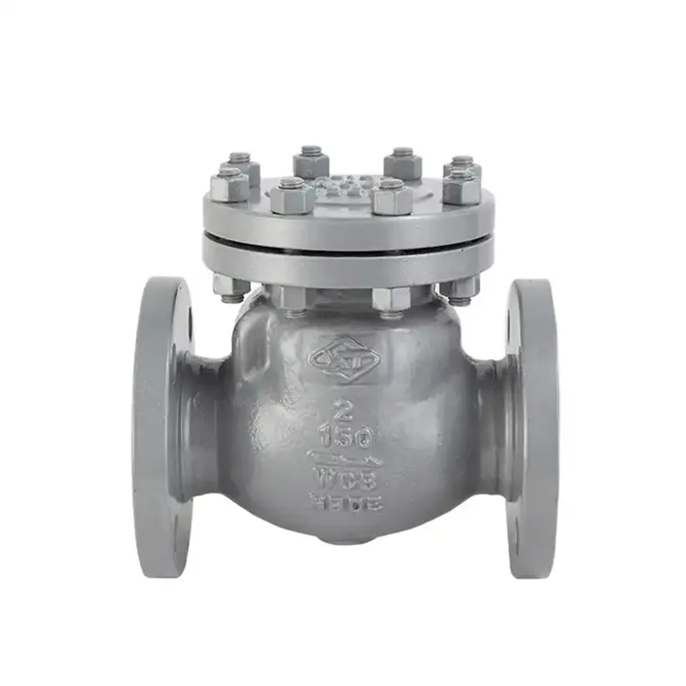 1-дюймовый обратный обратный клапан